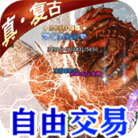 龙城决冰雪单职业挂机脚本V1.31