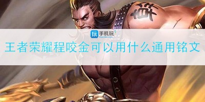 什么符文王者荣耀程咬金也可以通用 程咬金通用铭文推荐