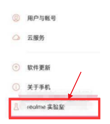 真我gt2大师探索版怎么设置DC调光 打开DC调光功能步骤