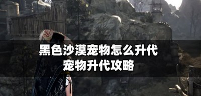 黑色沙漠怎么给宠物升代 宠物升代攻略