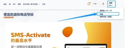 chatgpt充值怎么操作 chatgpt充值方法说明