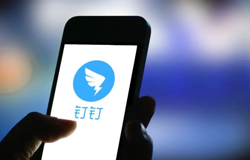钉钉怎么定时发送消息 定时发送消息教程分享