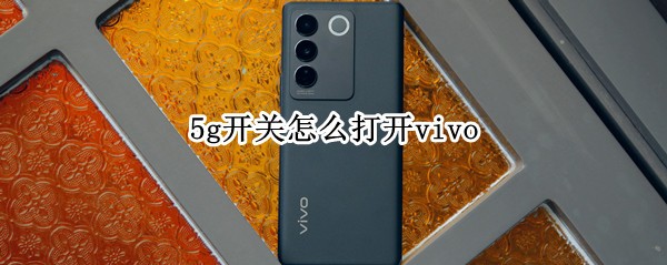 vivos16如何打开5g开关 打开5g开关方法介绍