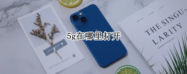 苹果14手机5g在哪里打开 5g开启位置方法介绍
