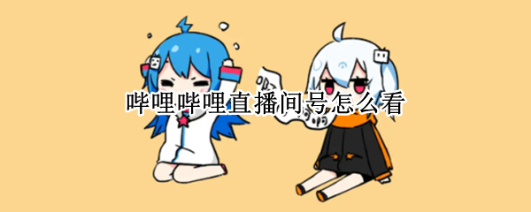 哔哩哔哩在哪看直播房间号 查看直播房间号方法介绍