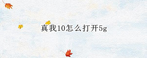 真我10在哪开启5g 开启5g方法介绍