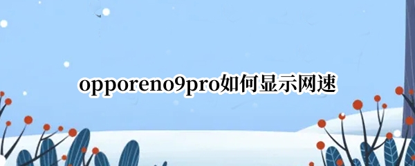 opporeno9pro怎么开启实时网速显示 开启实时网速显示方法