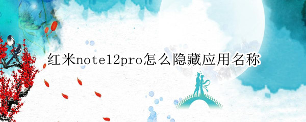 红米note12pro应用名称在哪隐藏 应用名称隐藏方法介绍