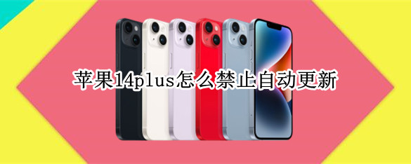 苹果14plus怎么关闭自动更新 关闭自动更新方法介绍