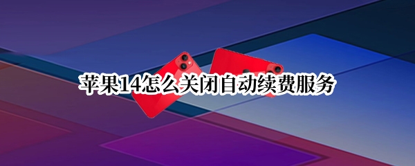 苹果14自动续费服务怎么取消 取消自动续费服务步骤一览