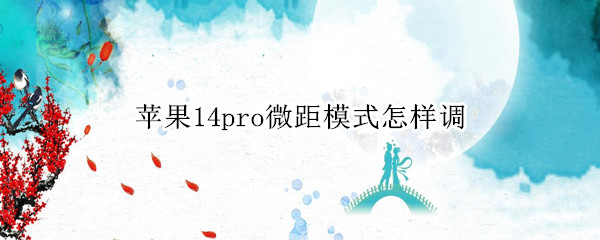 苹果14pro怎么开启微距模式 开启微距模式方法介绍