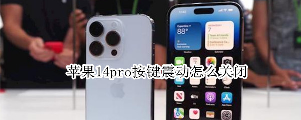 苹果14pro按键震动在哪关 按键震动关闭方法介绍