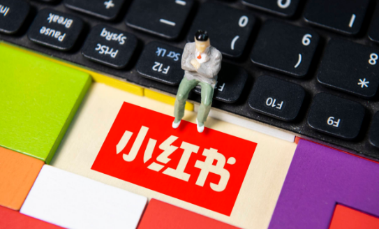 小红书怎么关闭新增关注提醒 关闭新增关注提醒方法介绍
