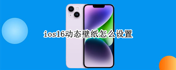 ios16怎么设置动态壁纸 设置动态壁纸方法介绍