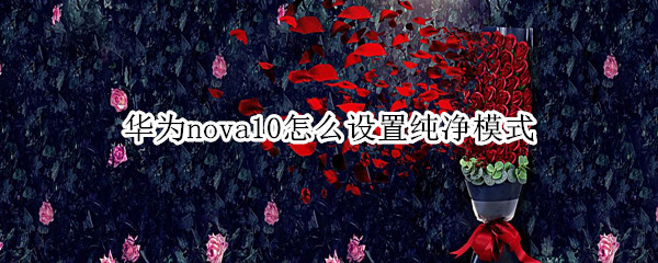 华为nova10纯净模式怎样打开 纯净模式打开方法介绍