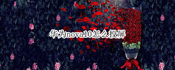 华为nova10投屏在哪打开 投屏打开位置介绍