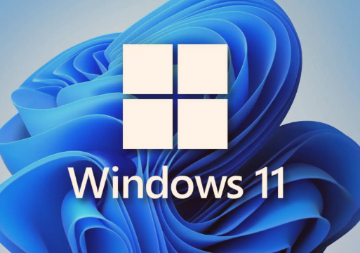 Win11怎么处理更新出错 处理更新出错方法介绍