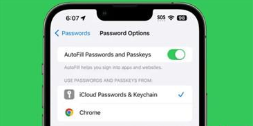 ios17怎么开启自动清除验证码 开启自动清除验证码方法介绍