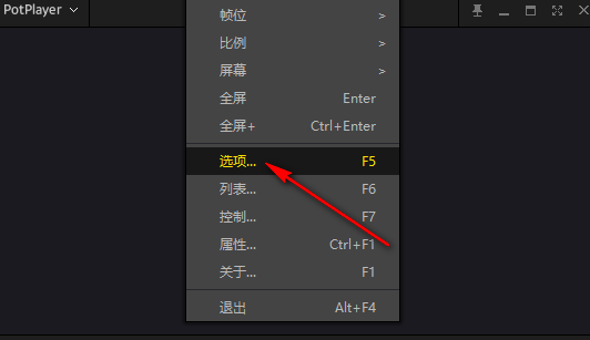 PotPlayer在哪打开自动更新功能 打开自动更新功能位置介绍
