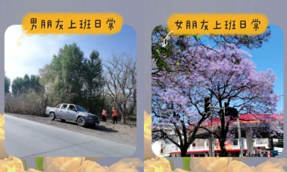 贴贴怎么发布表情包 发布表情包方法介绍