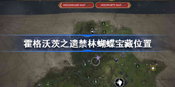 霍格沃茨之遗禁林蝴蝶宝藏位置