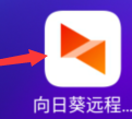 向日葵远程控制在哪里扫描