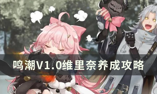 鸣潮维里奈怎么培养