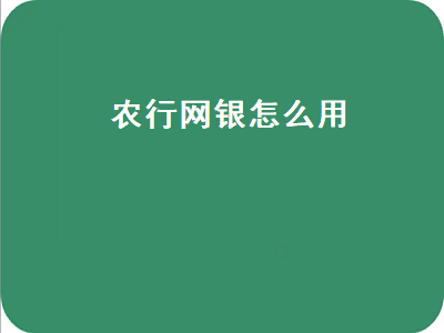 农行网银怎么用（农行网银怎么用win11）